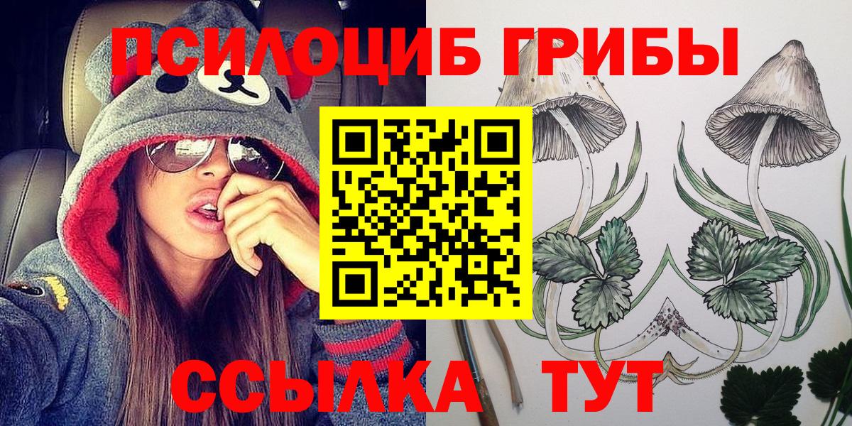 Галлюциногенные грибы прущие грибы  Вход с VPN  Бугуруслан 